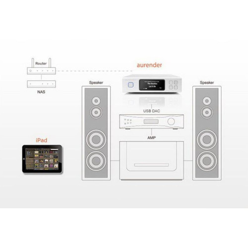 HIFI / HIFI / Streamer / Music Server Aurender N100C-4TB / Silver