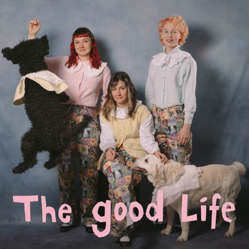 LP / My Ugly Clementine / Good Life / Vinyl