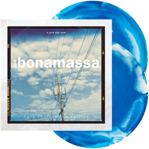 2LP / Bonamassa Joe / New Day Now / Blue / Vinyl / 2LP