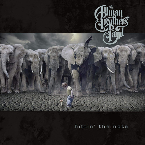 CD / Allman Brothers Band / Hittin' The Note