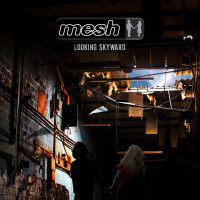 CDMesh / Looking Skyward