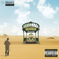 CDDJ Snake / Encore