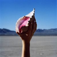 CDKillers / Wonderful Wonderful