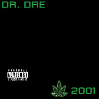 2LPDr.Dre / 2001 / Vinyl / 2LP