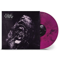 LPCabal / Everything Roots / Violet,Black Marbled / Vinyl