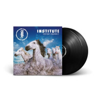 2LPInstitute / Distort Yourself / Vinyl / 2LP