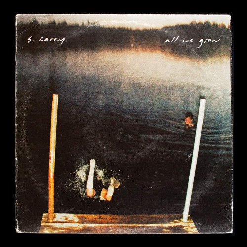 LP / Carey S. / All We Grow / Vinyl / 10th Anniversary / Limited