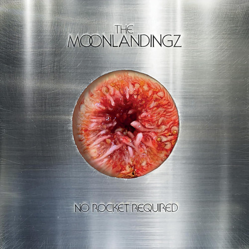 LP / Moonlandingz / No Rocket Required / Vinyl