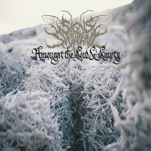 CD / Signs of the Swarm / Amongst The Low & Empty