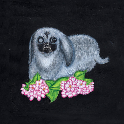 LP / Guadalupe Plata / Guadalupe Plata (2017) / Vinyl