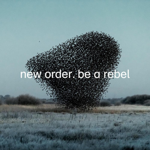 LP / New Order / Be A Rebel / Vinyl / Grey