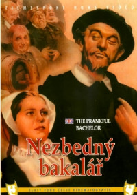 DVDFILM / Nezbedn� bakal��