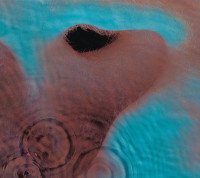 CDPink Floyd / Meddle / Reedice / Digisleeve