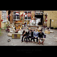 LPMumford & Sons / Babel / Coloured / Vinyl