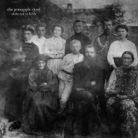 CDPineapple Thief / Abducted At Birth / Reedice 2024 / Digipack