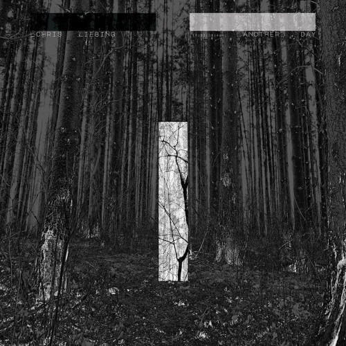 2LP / Liebing Chris / Another Day / Vinyl / 2LP.