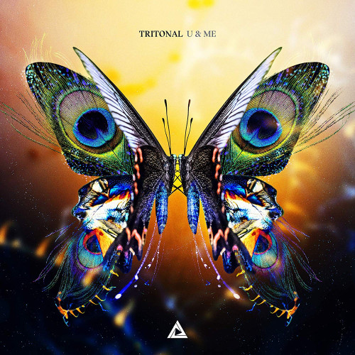 CD / Tritonal / U & Me / Digipack