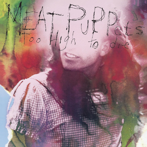 LP / Meat Puppets / Too High To Die / Vinyl