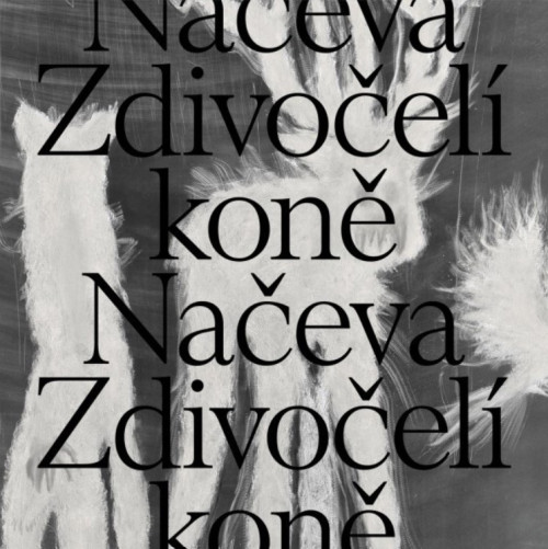 LP / Na�eva / Zdivo�el� kon� / Silver / Vinyl