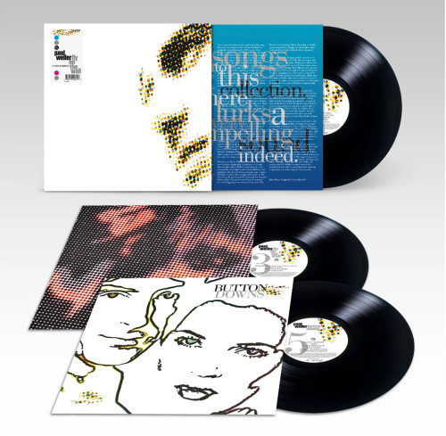 3LP / Weller Paul / Fly On The Wall:B-sides&Rarities 91-01 / Vinyl / 3LP