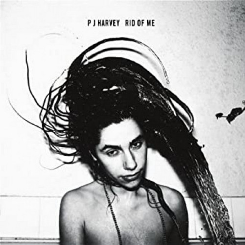LP / Harvey PJ / Rid Of Me / Vinyl