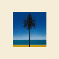 LPMetronomy / English Riviera / Vinyl