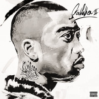 CDWiley / Godfather II