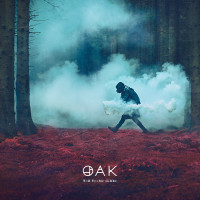 CDOak / Third Sleep