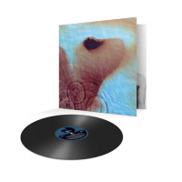 LPPink Floyd / Meddle / Reedice / Vinyl