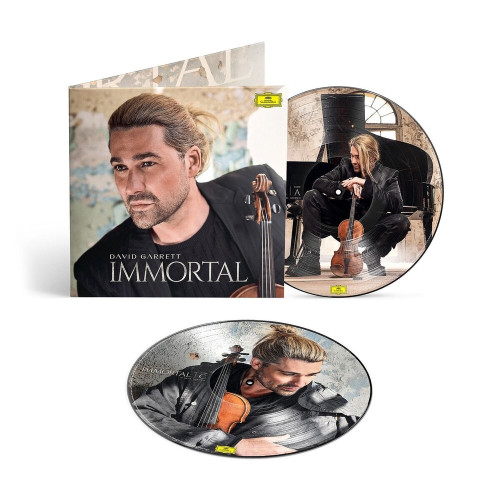 2LP / Garrett David / Immortal / Picture / Vinyl / 2LP