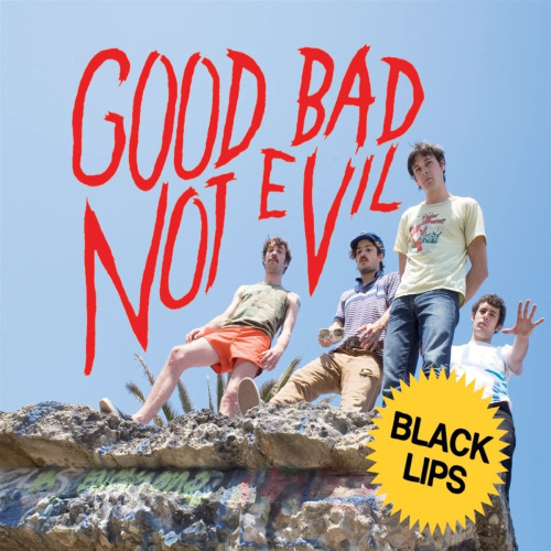 2LP / Black Lips / Good Bad Not Evil / Vinyl / 2LP