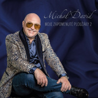 2LPDavid Michal / Moje zapomenut� plou��ky 2 / Vinyl / 2LP