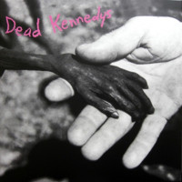 LPDead Kennedys / Plastic Surgery Disasters / Vinyl