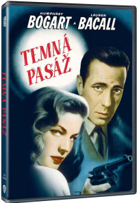 DVDFILM / Temn� pas�