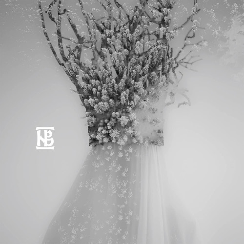 CD/DVD / Negura Bunget / Zau / Artbook / CD+DVD