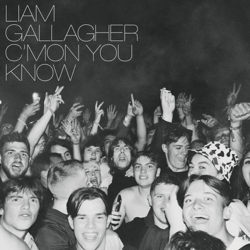 LP / Gallagher Liam / C'mon You Know / Clear / Vinyl