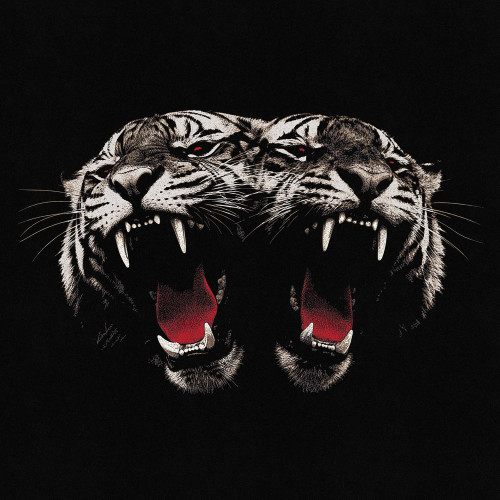 LP / Royal Blood / Dead Company / Transparent Red / Vinyl