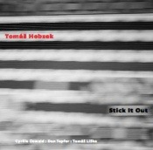 CD / Hobzek Tom� / Stick It Out