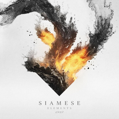 CD / Siamese / Elements
