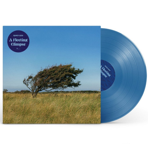 LP / Riis Bjorn / A Fleeting Glimpse / Transparent Blue / Vinyl