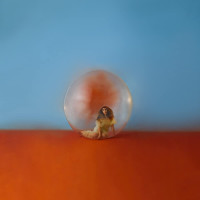 2LPCara Alessia / In The Meantime / Vinyl / 2LP