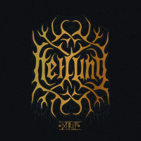 2LPHeilung / Drif / Vinyl / DeLuxe / Limited / 2LP