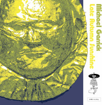 LPGarrick Michael / Late Autumn Sunshine / 2LP / Vinyl