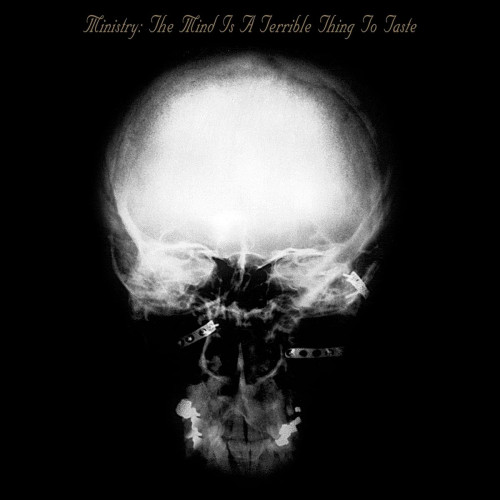 CD / Ministry / Mind is a Terrible Thing To Taste