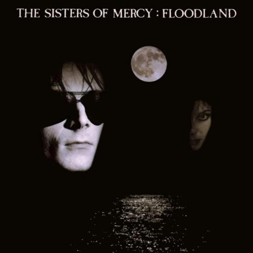 LP / Sisters Of Mercy / Floodland / Vinyl