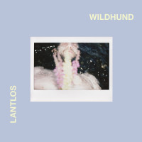 CDLantlos / Wildhund / Digibook