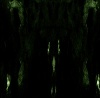 CDImpetuous Ritual / Unholy Congregation Of Hypocritical...
