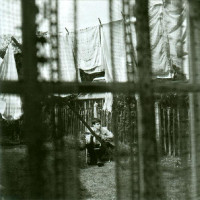 CDMcCartney Paul / Chaos And Creation In The Backyard / Digisleeve