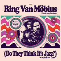 LPRing Van Mobius / Song that wasn't a Song / 7" / Vinyl