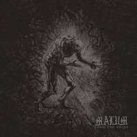 CDMalum / From The Voids